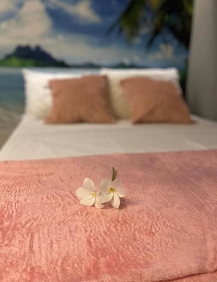 Apartamento Aptos Atras Da Passarela Do Caranguejo *